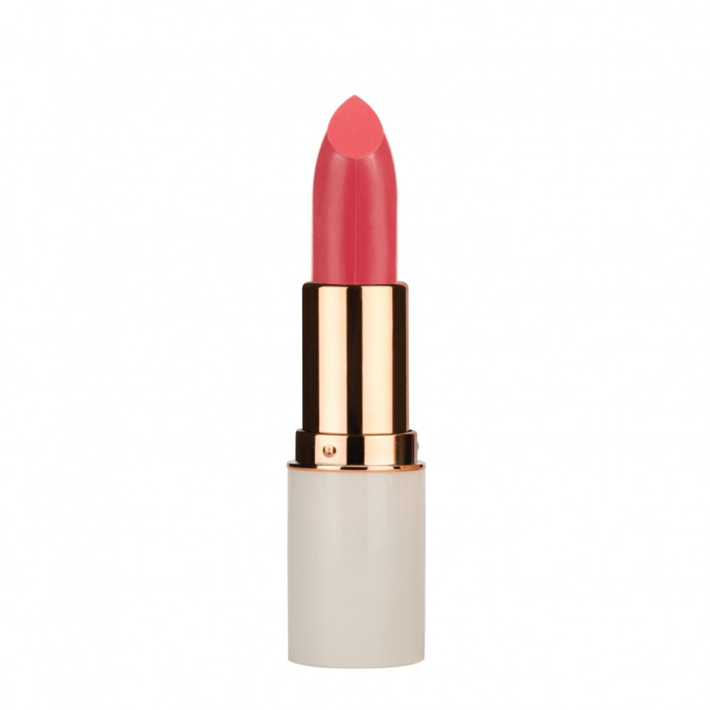 Md Professional  Volume Up 48