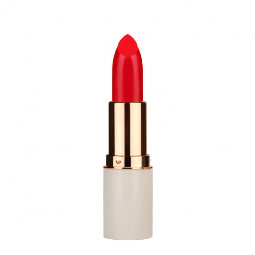 Md Professional  Volume Up 50