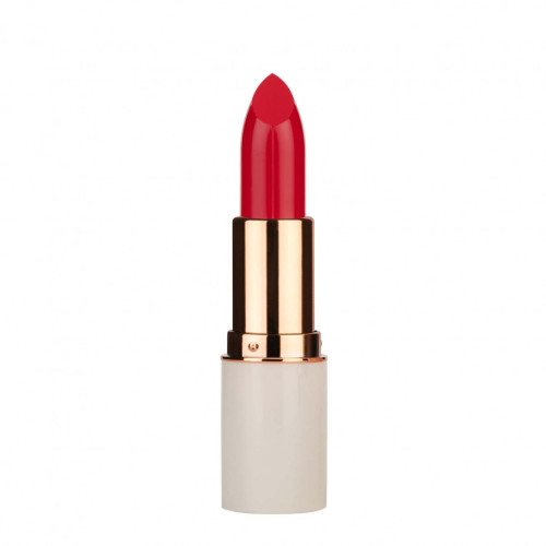 Md Professional Volume Up 64 Md Professional Volume Up 64