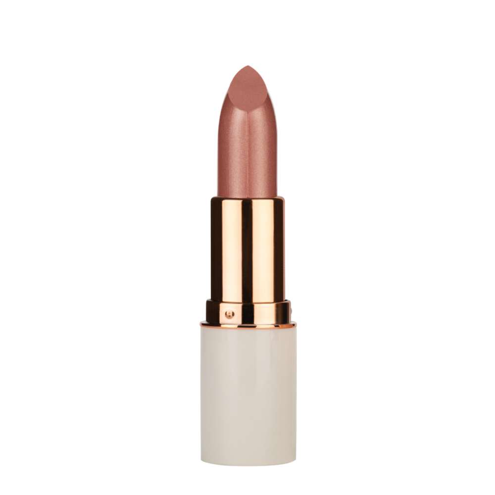 Md Professional Volume Up 72 Md Professional Volume Up 72