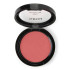 Grigi Max Blush On n24 Coral Pearl