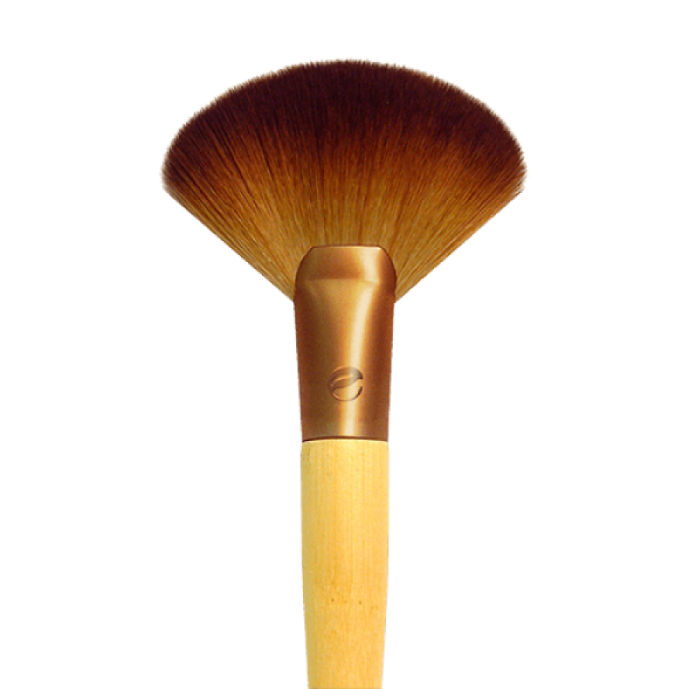 EcoTools Deluxe Fan Brush
