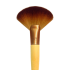 EcoTools Deluxe Fan Brush